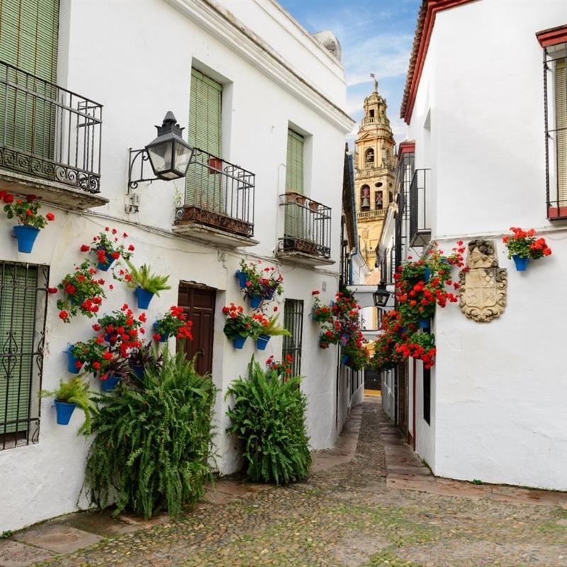 El Patio De San Miguel Apartment Cordoba Exterior photo